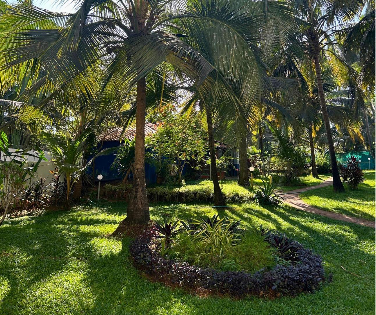 Jungle Hut-Annabelle'S Beach Apartments At Bernard Simao,Calangute,Goa Candolim Eksteriør bilde